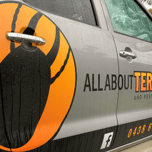 Work Ute All About termites